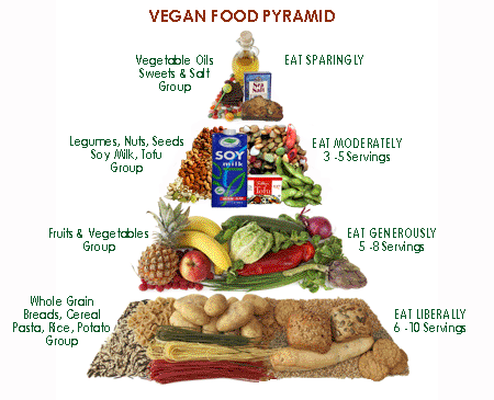 the vegan diet